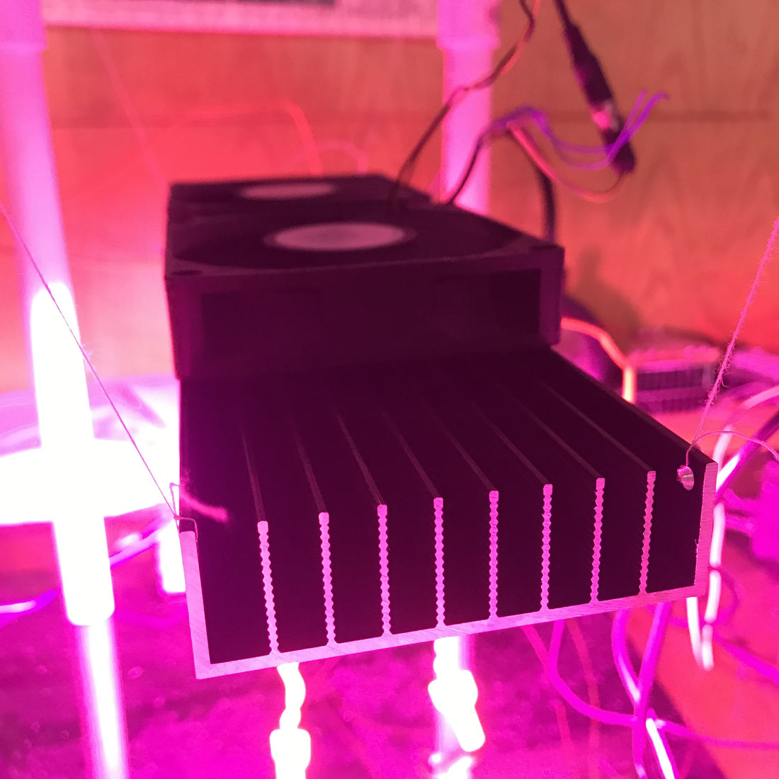 2 LEDS COB de 50W en Disipador de 7.6cm x 29.5cm. Disipación Activa y Pasiva